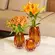 CACHEPOT DECORATIVO  MURANO 14X11X13 CM AMBAR