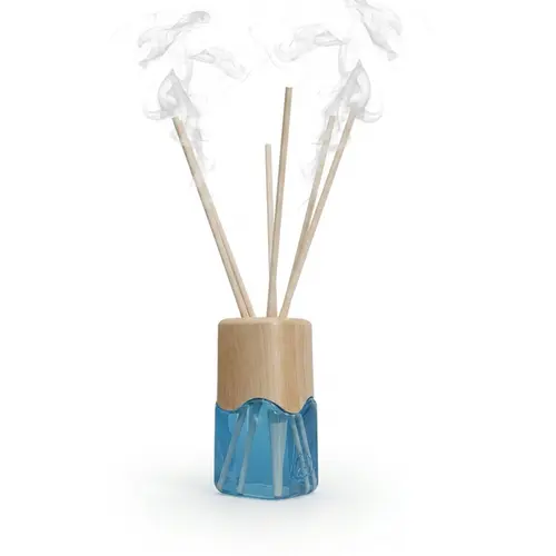 DIFUSOR DE AROMAS THE QUEEN 100ML
