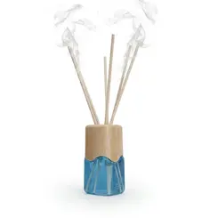 DIFUSOR DE AROMAS THE QUEEN 100ML