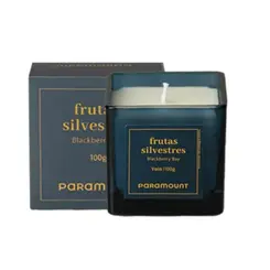 VELA AROMATICA FRUTAS SILVESTRES 100G REF 3501