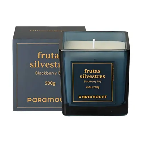 VELA AROMATICA FRUTAS SILVESTRES 50G REF 3497
