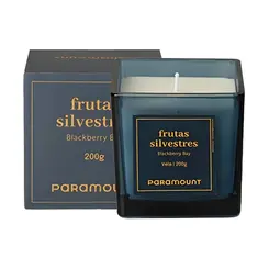 VELA AROMATICA FRUTAS SILVESTRES 50G REF 3497