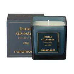 VELA AROMATICA FRUTAS SILVESTRES 200G REF 3505