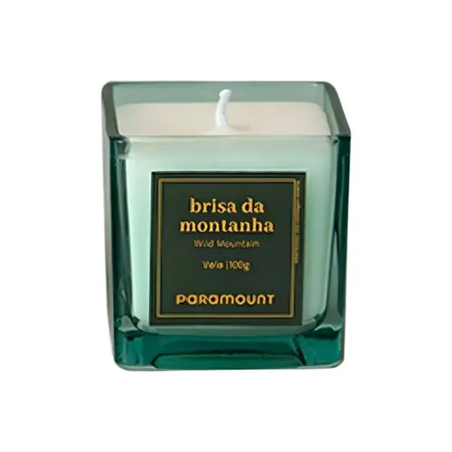 VELA AROMATICA BRISA DA MONTANHA 100G REF 3502