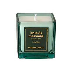 VELA AROMATICA BRISA DA MONTANHA 100G REF 3502