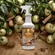 SPARTAN AIR ESSENCE - MACA E CANELA 500 ML